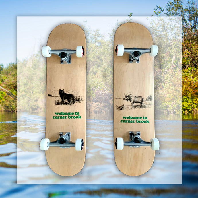 WTCB Complete Skateboards